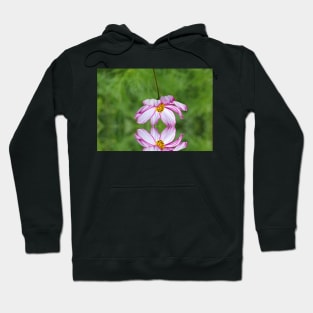 Reflect on your present blessings... Hoodie